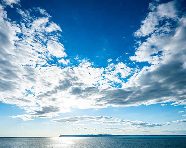 就労継続支援B型